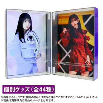 사이토 아스카 메모리얼 케이스 9th year birthday live