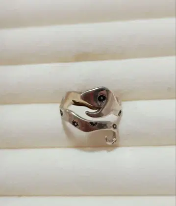 방울뱀 실버 반지