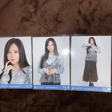 [ 16일까지 ] 노기자카46 브로마이드 이노우에 와카 스팽글 컴프