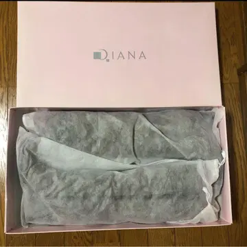 DIANA 스웨이드 롱 부츠