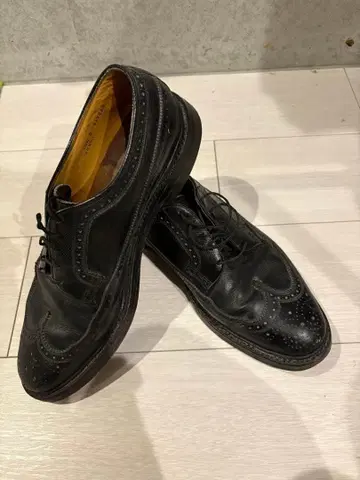 플로샤임 메달리온