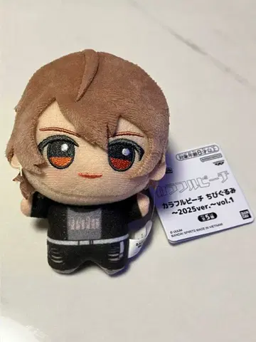컬러풀 피치 SD 인형 ~2025ver.~ vol.1 우리