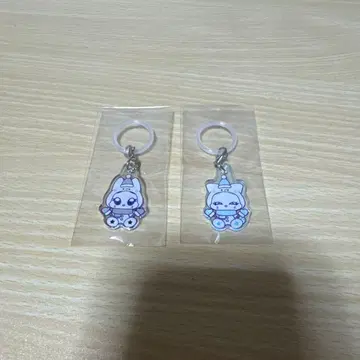 ME:I 메지루시 참 카토 코코로 카사하라 모모나