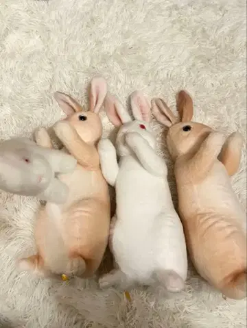 토끼 봉제 인형 3개 세트