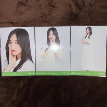 [ 16일까지 ] 노기자카46 이노우에 와카 뷔스티에 브로마이드 컴프