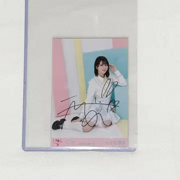 이코럽 사사키 마이카 친필 브로마이드