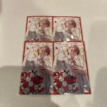 니지산지 세라프 대즐 가든 보이스 비주얼 카드