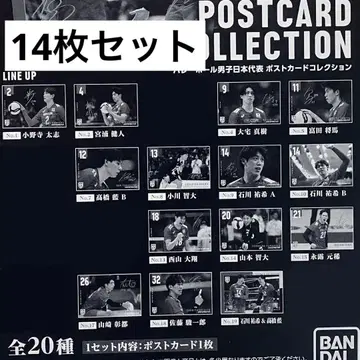 배구 남자 일본 대표 엽서