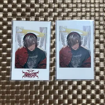 CR crazy raccoon 락의 날 달마이즈갓 폴라로이드