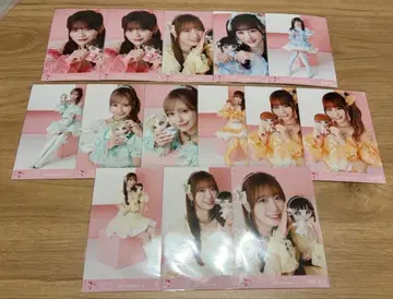 이코라부 모리 묶음 판매