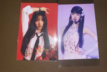 IVE 원영 카드 2장 공식