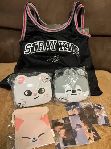 스키즈 업그레이드 굿즈 업그레이드 skzoo minibox 덤 포함