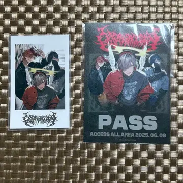 CR crazy raccoon 락의 날 폴라로이드 스티커