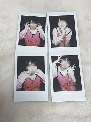 러브시크 태양 저지 비브스 공연 폴라로이드