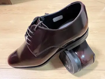 REGAL DBR V200 다크 브라운