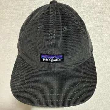 patagonia 코듀로이 캡