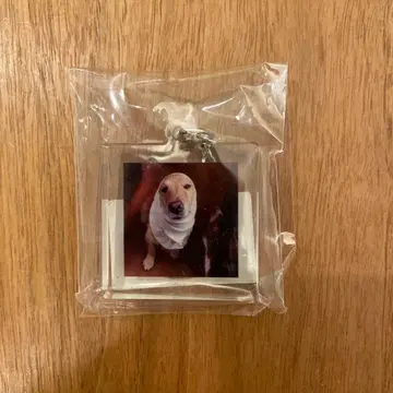 HOBONICHI 유리코로 킹덤 키링 유키카미사마