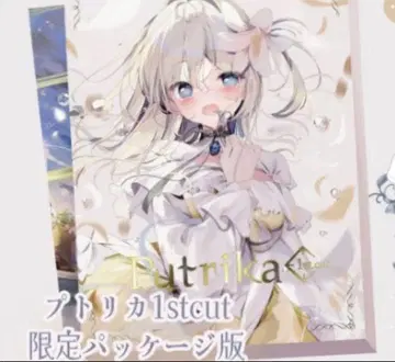 푸트리카 패키지판