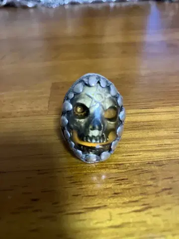 알렉스 스트리터 드래곤 투스 스컬 13호