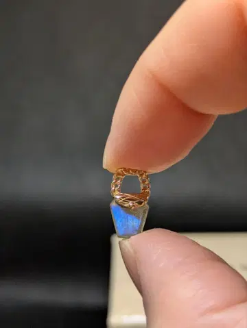 NOJESS 10k 래브라도 라이트 백형 참 01