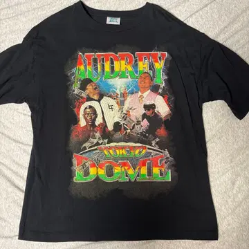 오드리 올나이트닛폰 in 도쿄돔 빅 실루엣 T셔츠 L 사이즈