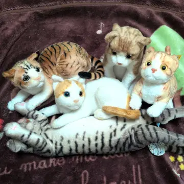 고양이 봉제 인형 5마리 세트 [점점 가격 인하 있음]