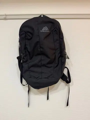 그레고리 레토나28 RETNA28