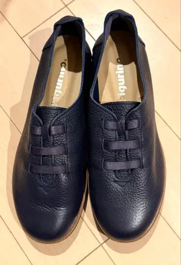 페그리노 네이비 23cm