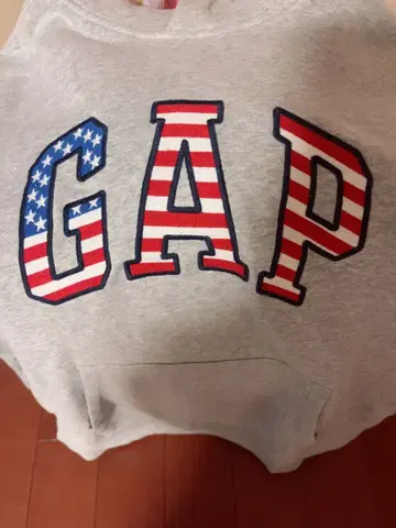 GAP 미국 국기 디자인 트레이닝복 맨투맨
