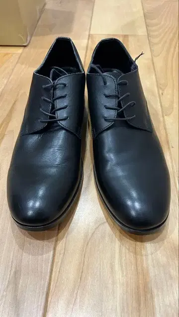 파드로네 padrone 더비 슈즈 BL DERBY SHOES