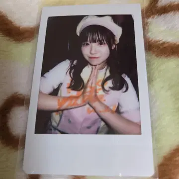 아사히나 마도카 폴라로이드