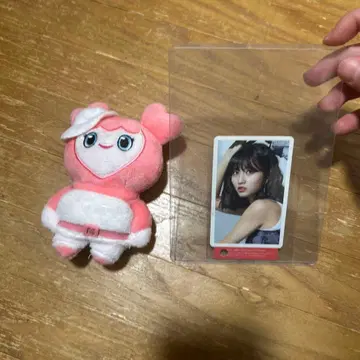 TWICE 모모 모블리 하이터치권