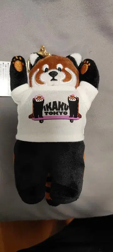 그라니프 도쿄 2주년 이카 참