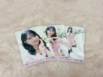 사사키 마이카 니트 의상 컴프