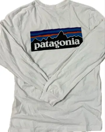 patagonia 론 T (긴팔 셔츠)