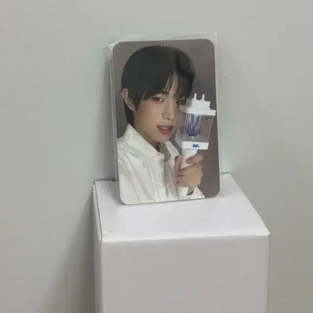 파우 pow 응원봉 찌릿봉 판매 정빈 포카