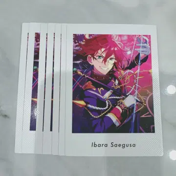 앙스타 파샤츠 vol.6 사에구사 이바라