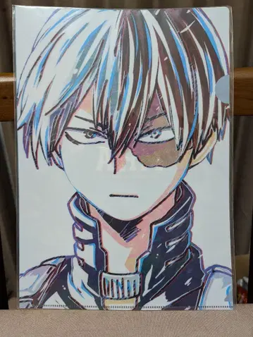 토도로키 쇼토 클리어 파일 나의 히어로 아카데미아