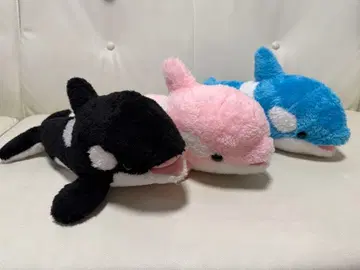 카모가와 월드 범고래 복권