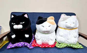 히게만쥬 정좌 이 울트라 빅