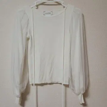 [ 미셸 마카롱 ] 도트 튤 니트탑