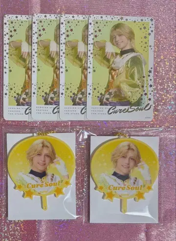 보쿠 프리 큐어 소울 세트