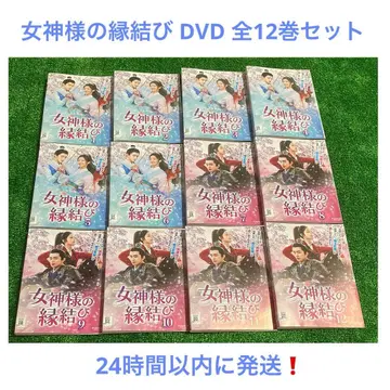 여신님의 인연 맺기 DVD 전 12권 세트 중국 드라마