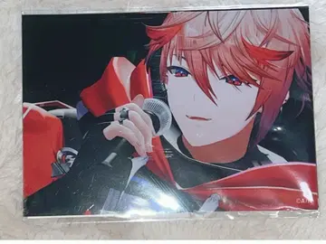 니지페스 2025 세라프 대즐 가든 브로마이드 VOLTACTION