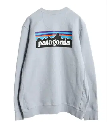 파타고니아 백 프린트 맨투맨 남성용