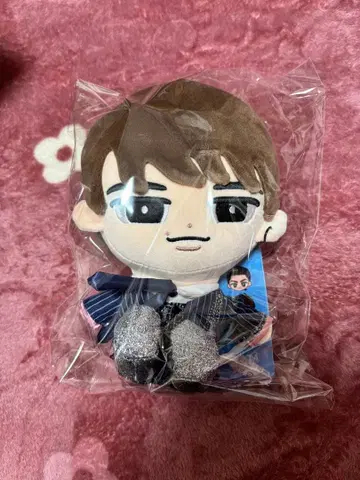 와타나베 쇼타 BIG 봉제 인형