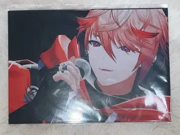 니지페스 2025 세라프 더즐 가든 브로마이드 VOLTACTION