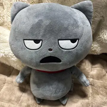 니시무라 유우지 나쁜 고양이