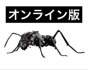 생물대도감 개미 파라포넬라