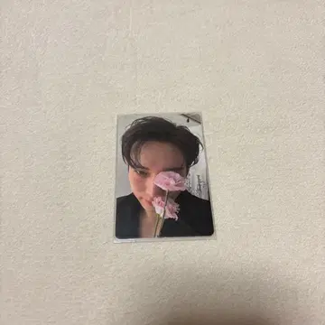 김영대 트레이딩 카드